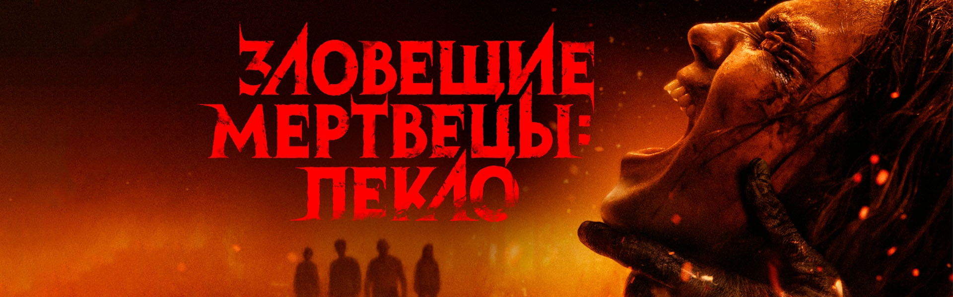 Слайд 5